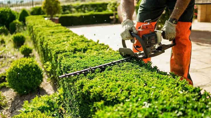 Jardinage & espaces verts